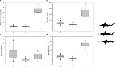 Assessment of the physiological vulnerability of the endemic and critically endangered Daggernose Shark: A comparative approach to other Carcharhiniformes